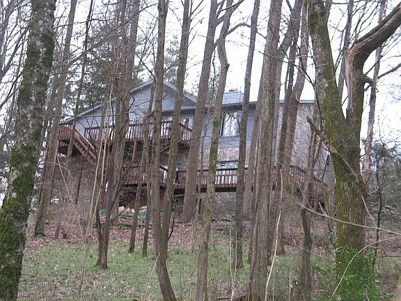 From middle back yard