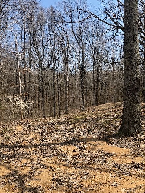 1st image of Old Military Ln