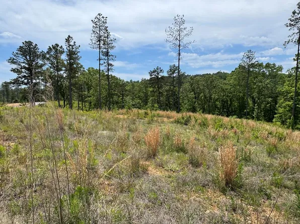 LOT 243 Spear Point Dr, Talking Rock, GA 30175