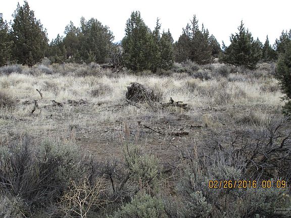 4th image of 6220 SW Buckskin Ln