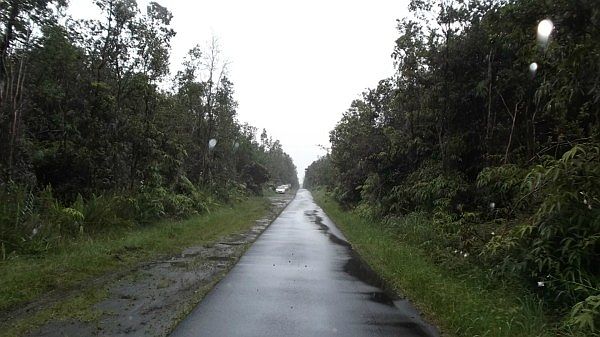 2nd image of Ohia Lot 19