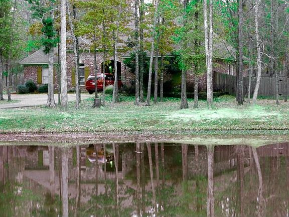 Frontal view from across our pond.