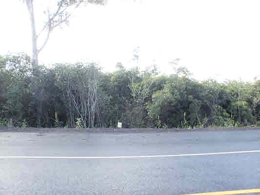 1st image of Kimokimo Pl Lot 419