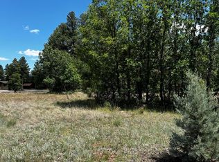 1781 S Alder Leaf Ln, Show Low, AZ 85901