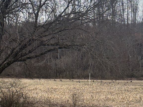 4th image of 0 Marshall Ridge Rd