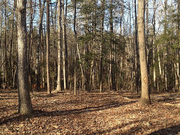4th image of 134 Natures Way Dr
