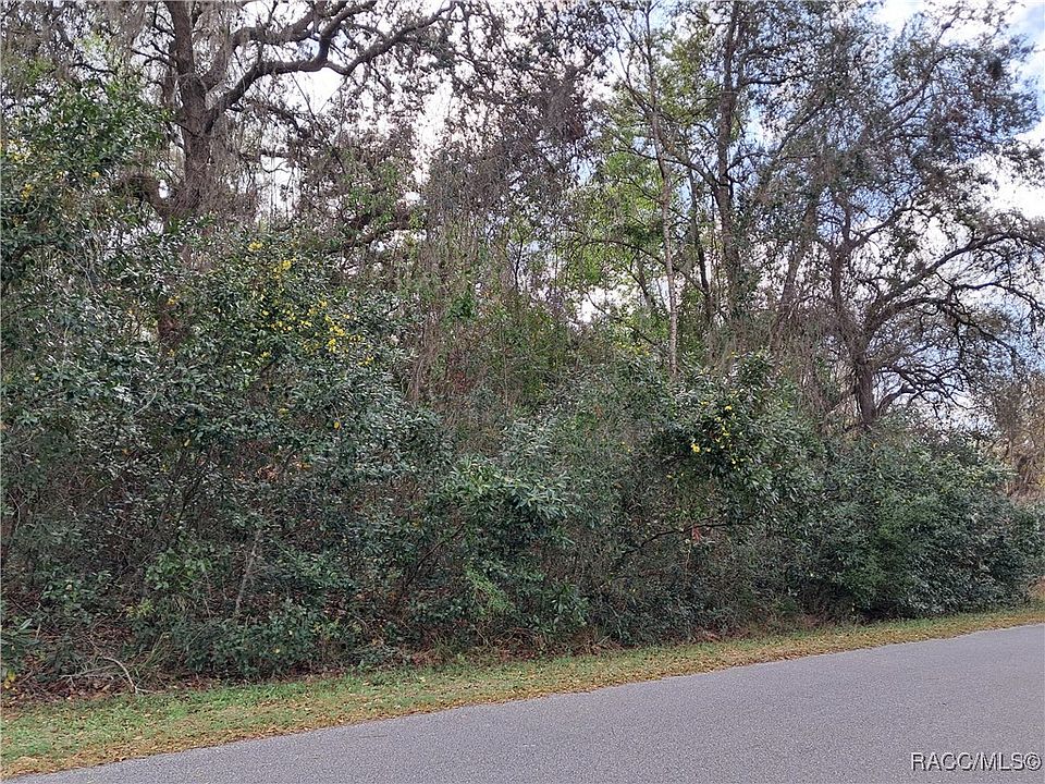 2nd image of 11682 E Hawk Ln
