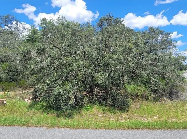 11250 N Ely Point, Citrus Springs, FL 34433