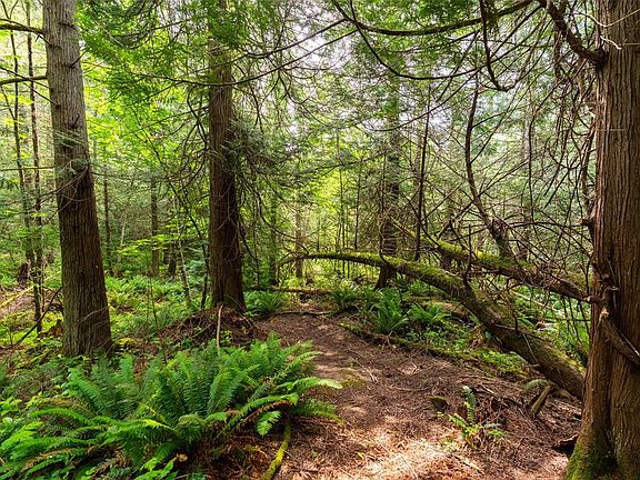 4th image of 384 Seaspray Dr Lot 3
