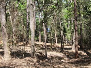 145 Crossed Arrow, Grapeland, TX 75844