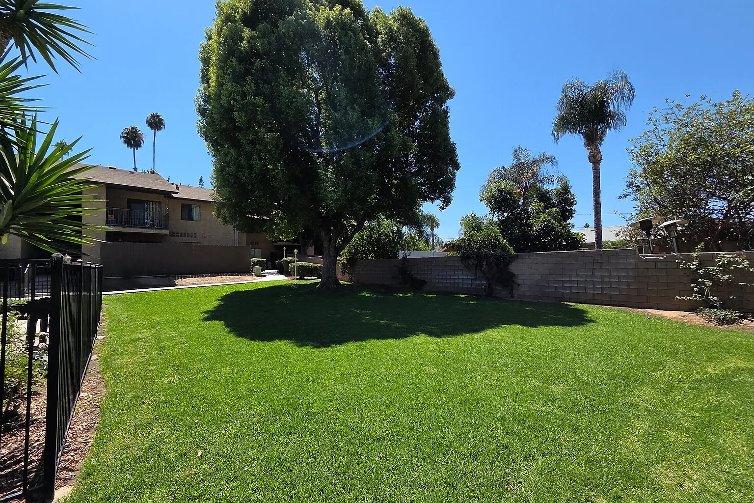 Cedar Crest Apartments — Photo 4