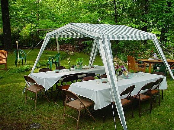 We've had a lot of fun in this backyard 