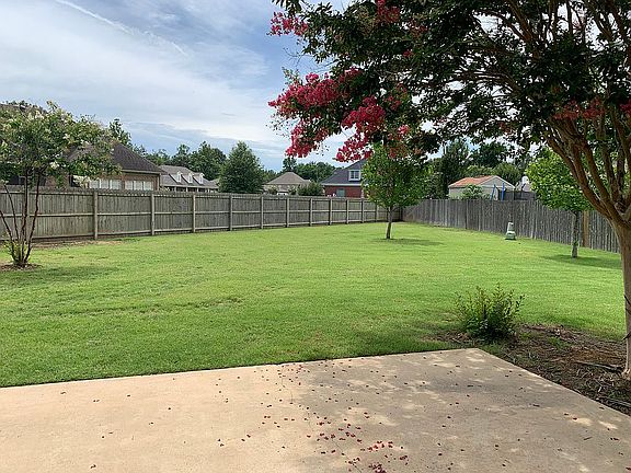Back yard