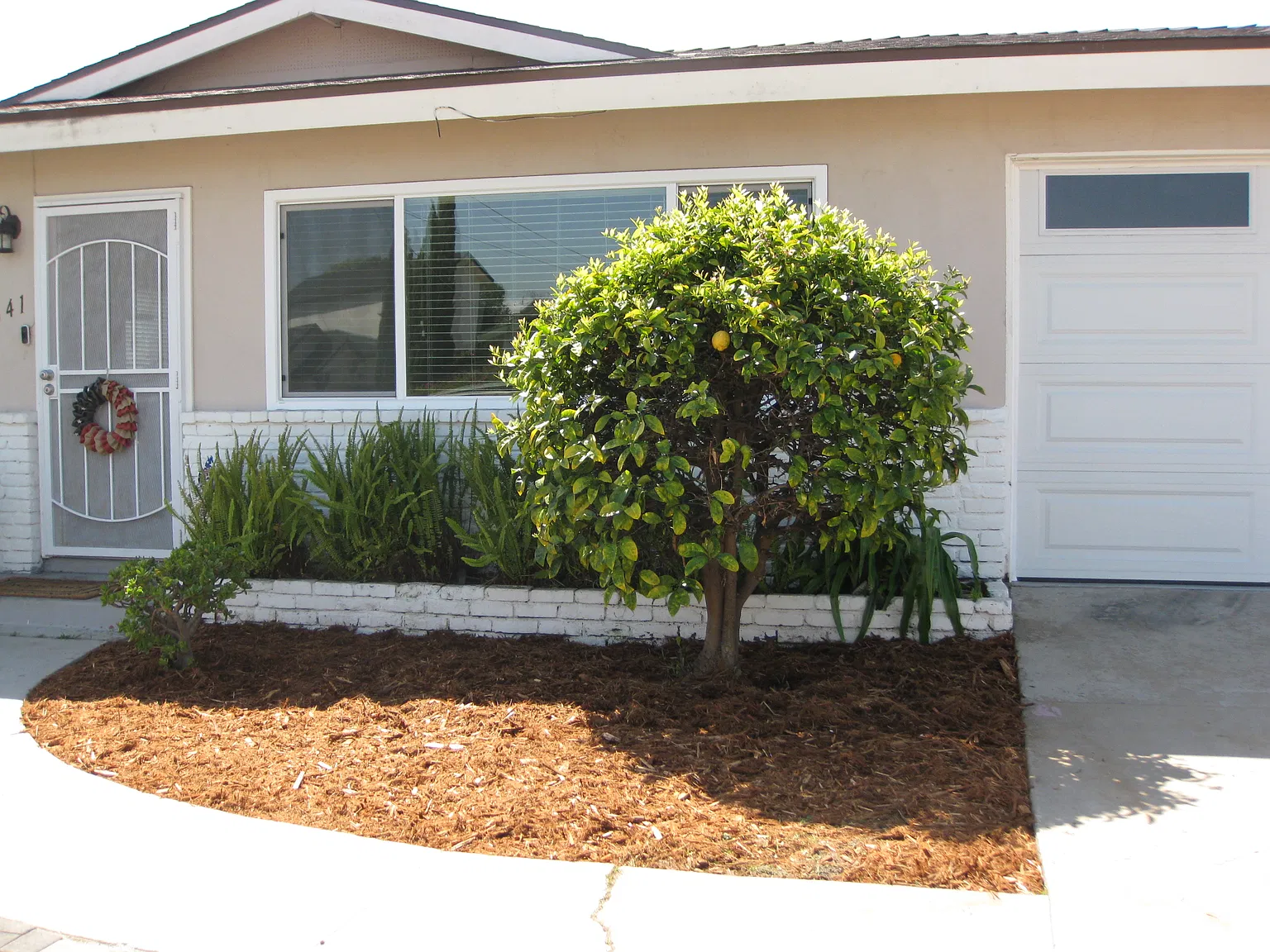 3 bed, 1092 sqft, $3,600 — Photo 4