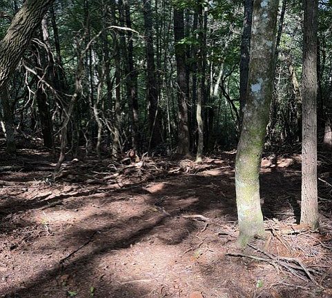 5th image of 150 Wayah Rd