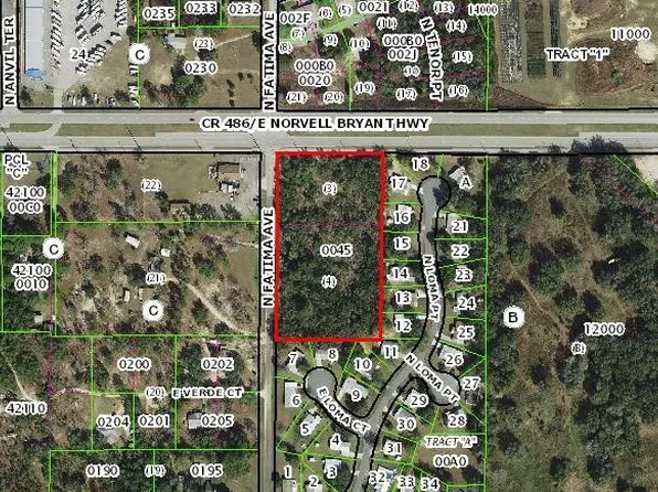 2409 N Fatima Ave, Hernando, FL 34442