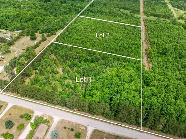 PARCEL 1 Maple St, Benzonia, MI 49616