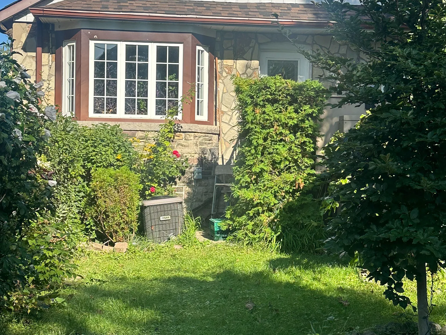 1 bed, $1,800 — Photo 2