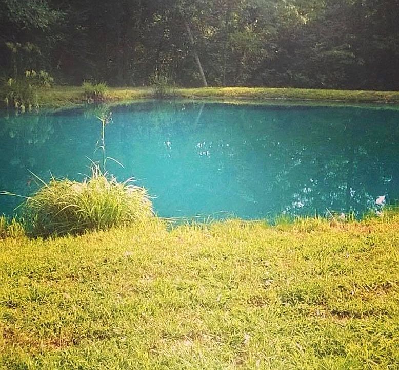 2nd image of 355 Deer Lake Rd