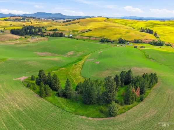 Tbd Lenville Rd, Moscow, ID 83843
