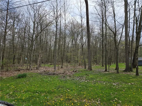 9595 Taylor May Rd, Chagrin Falls, OH 44023