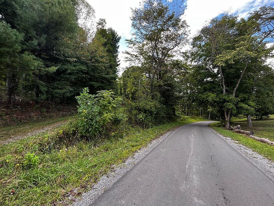 0 Ellison Ridge Rd, Jumping Branch, WV 25969 Zillow