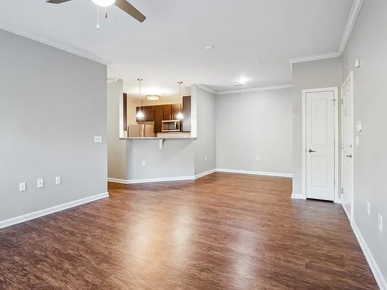 Kitchen and Living Room