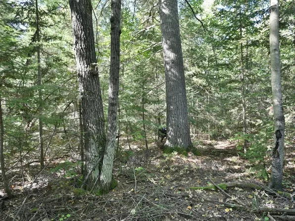 LOT 3 Mountain Rd, Cornucopia, WI 54827