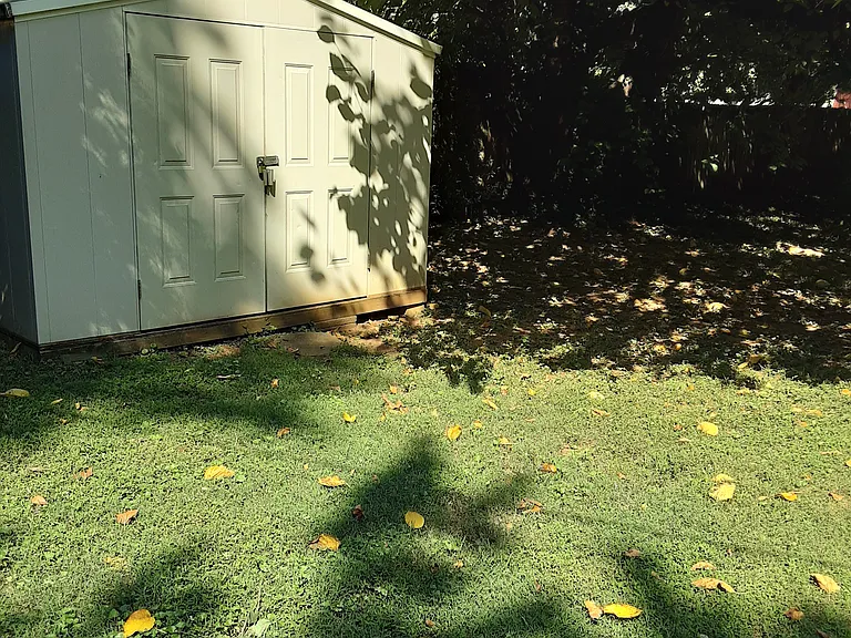 10' X 10' Storage shed
