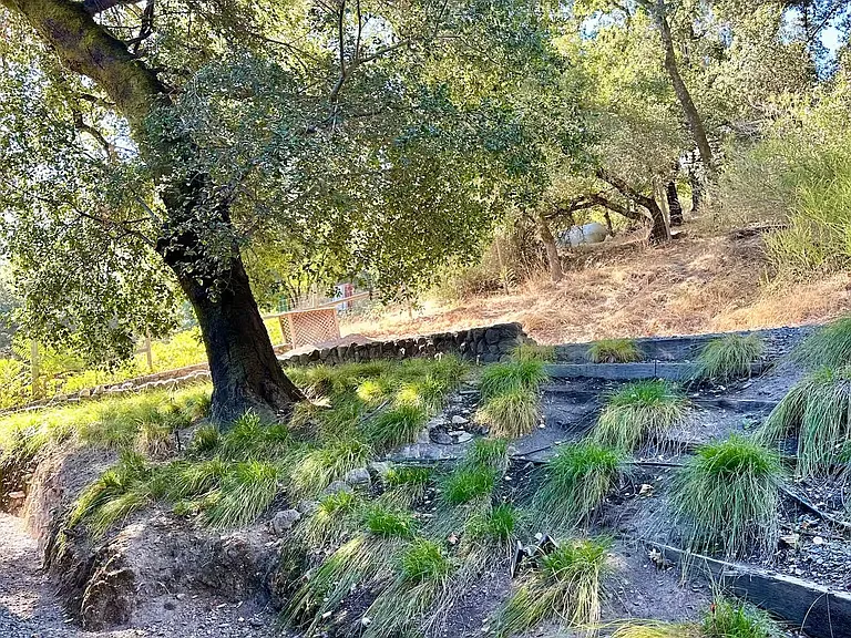 3431 N Saint Helena Hwy — Photo 36