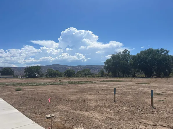 971 Hay Bale Ct, Fruita, CO 81521