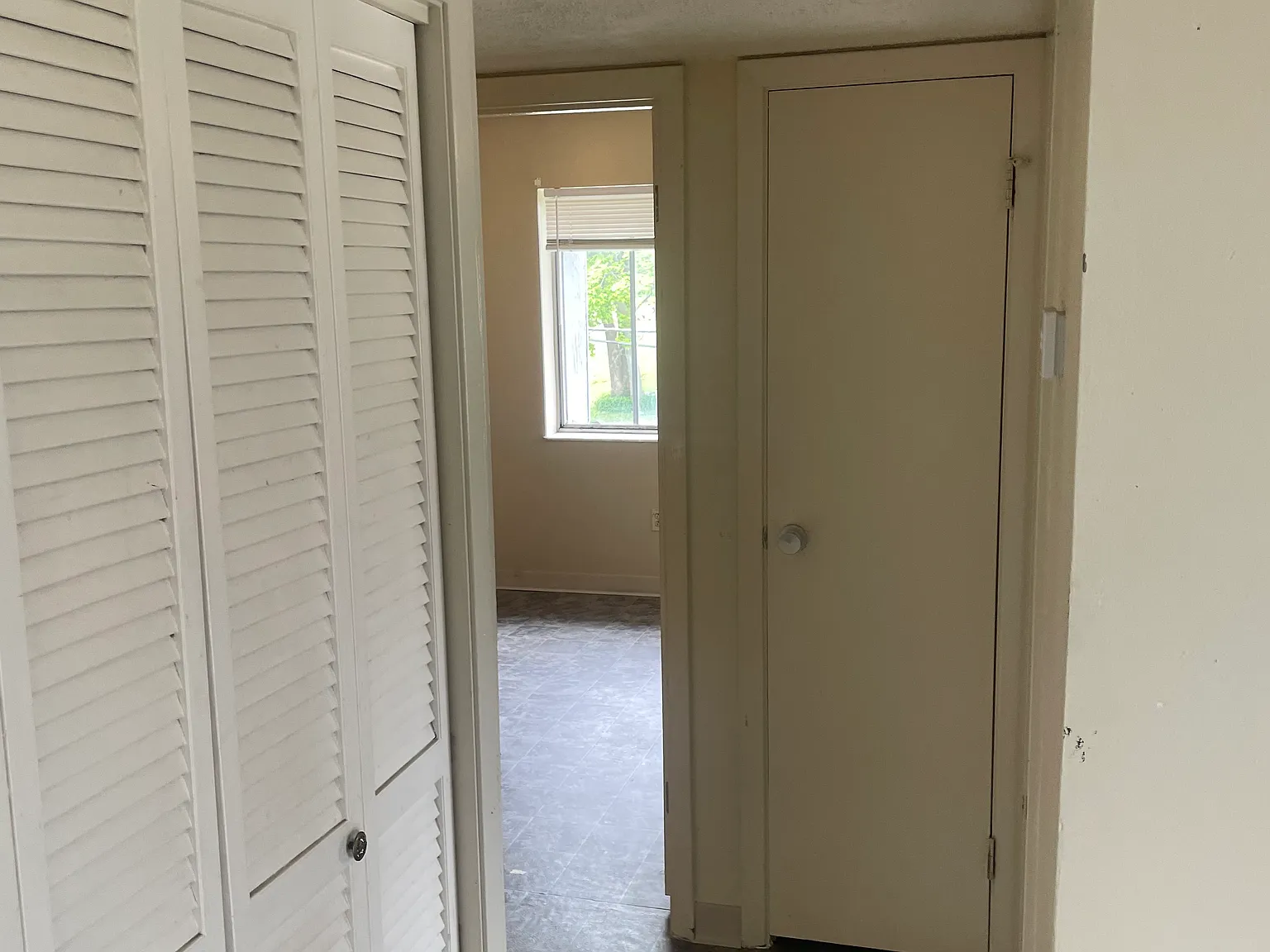 2 bed, $900 — Photo 3