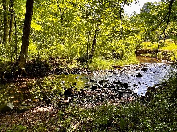 2nd image of 148 Warden Lake C Dr
