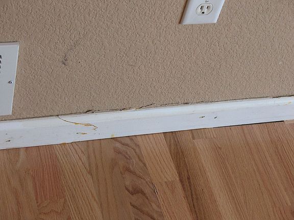 Damaged floorboards on top floor spare bedroom