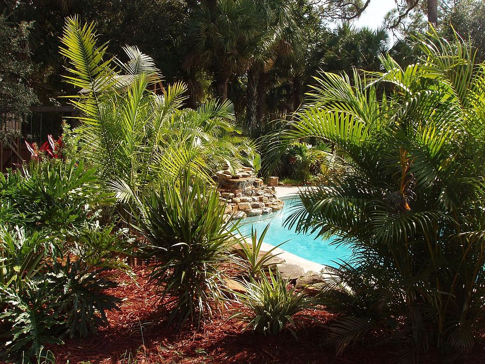Tropical Paradise