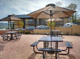 830 W Hill Ave APT 203, Knoxville, TN 37902