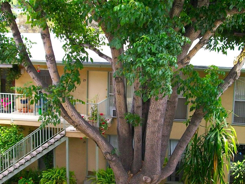 1st image of 2141 N Cahuenga Blvd #16
