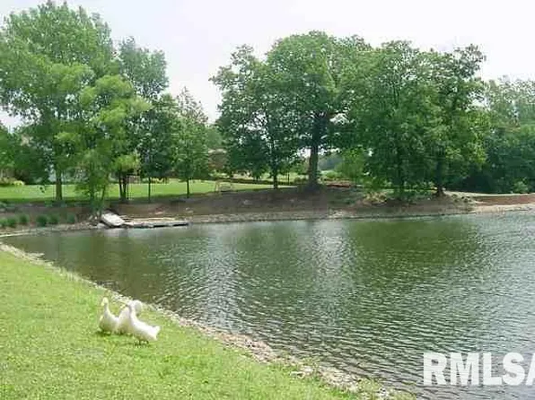 65 Rustic Lake Dr, Colona, IL 61241