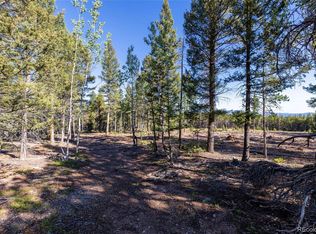 30894 Forest Shadow Trail, Conifer, CO 80433