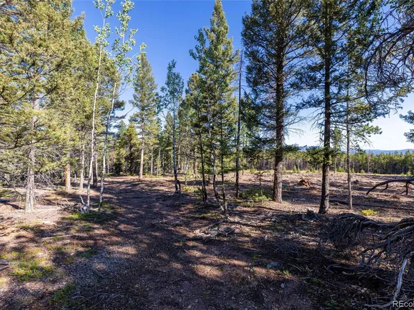 30894 Forest Shadow Trail, Conifer, CO 80433