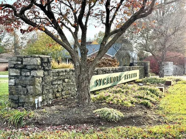 95 Hawthorne Ct, Versailles, KY 40383