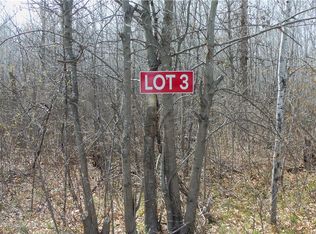 LOT 3 Minerva Dam Rd, Danbury, WI 54830