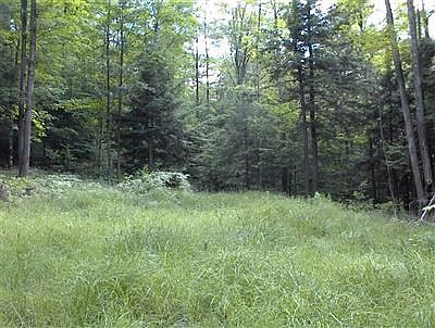1st image of 0 Scribner Hollow Road