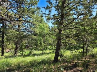 Piney Point Ln, Woodland Park, CO 80863