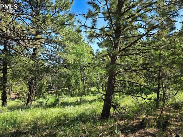 Piney Point Ln, Woodland Park, CO 80863