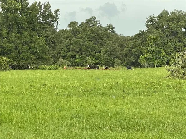 12523 County Road 721, Webster, FL 33597