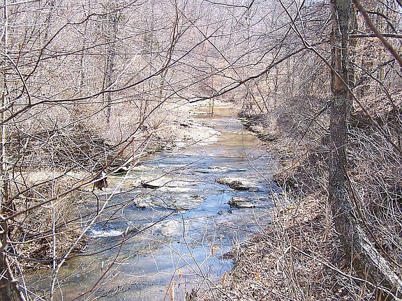 4th image of 195 Britt Rd