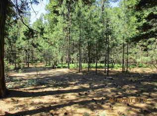 27405 State Highway 88, Pioneer, CA 95666