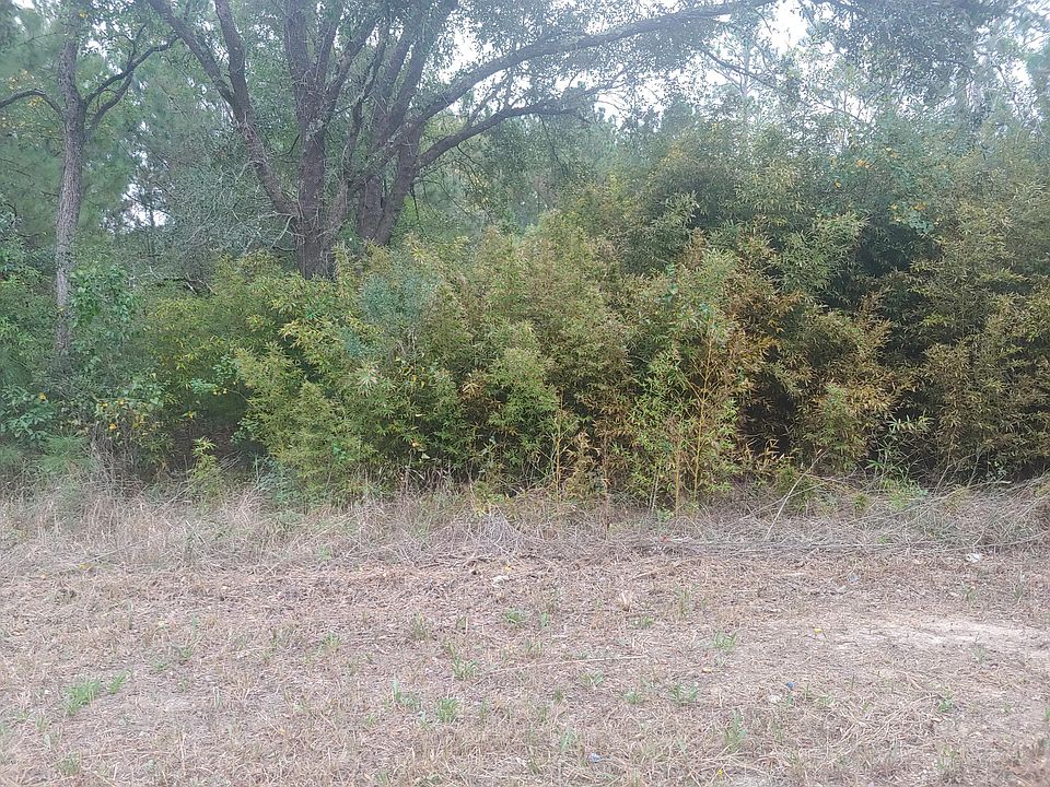 2nd image of 0 Missouri St
