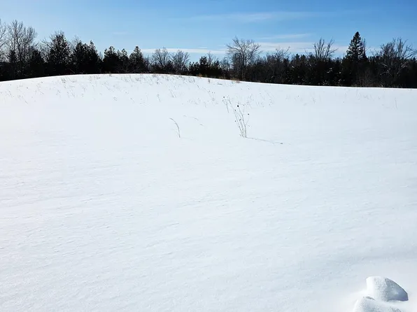 PARCEL W 638th Hwy #B, Onaway, MI 49765